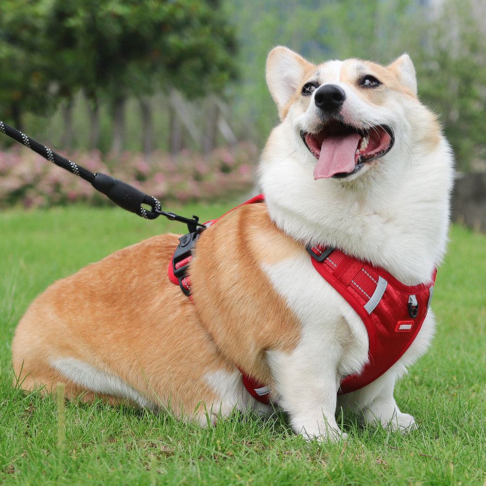 🔥🐶Reflektív kutyahám állítható mellény nélkül, húzás nélkül
