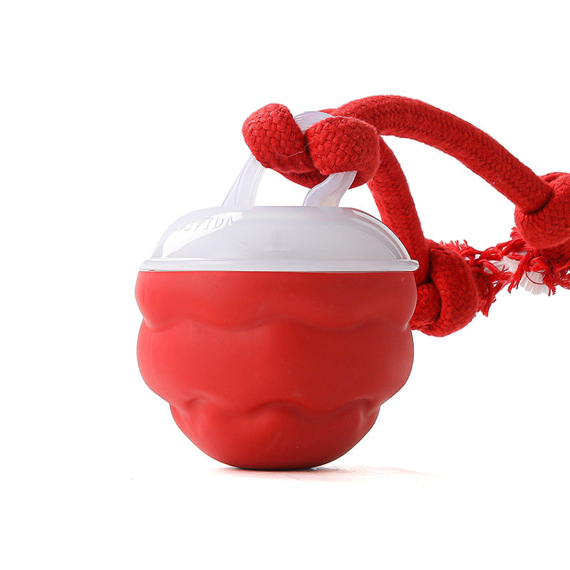 🐶Interaktív, nyugtató játék labda háziállatoknak