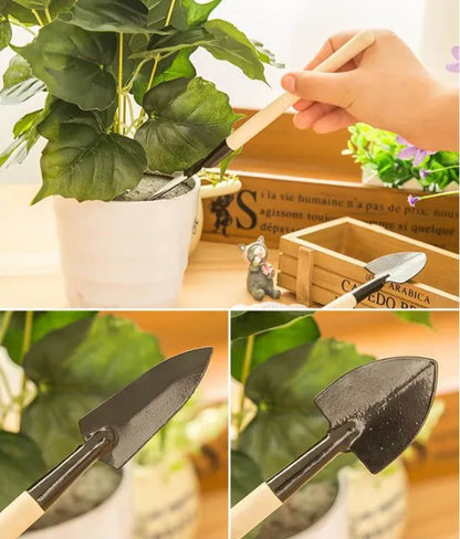 ÓRIÁS SZŐLŐFA MAGOK: MAG NÉLKÜLI JUICY GIANT