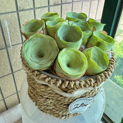 🌱🌹Hegyi Rózsa: Szépség, ami sosem fakul, még a kezdő pengékkel játszók számára sem!" 🌺