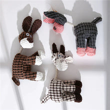 Plüss Squeak Pet kutyajáték